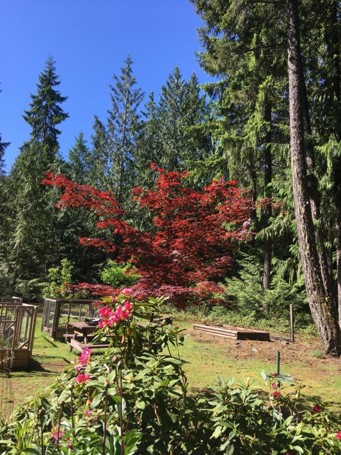 Cedar Song B&B Parksville Bagian luar foto