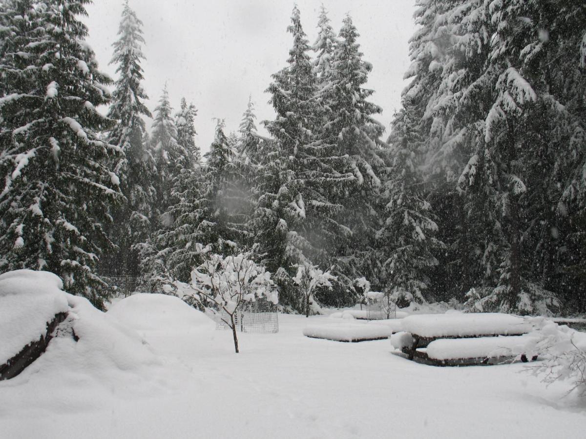 Cedar Song B&B Parksville Bagian luar foto