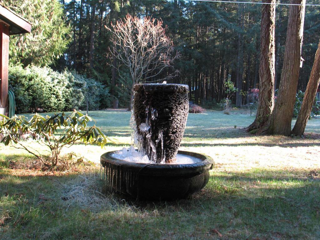 Cedar Song B&B Parksville Ruang foto