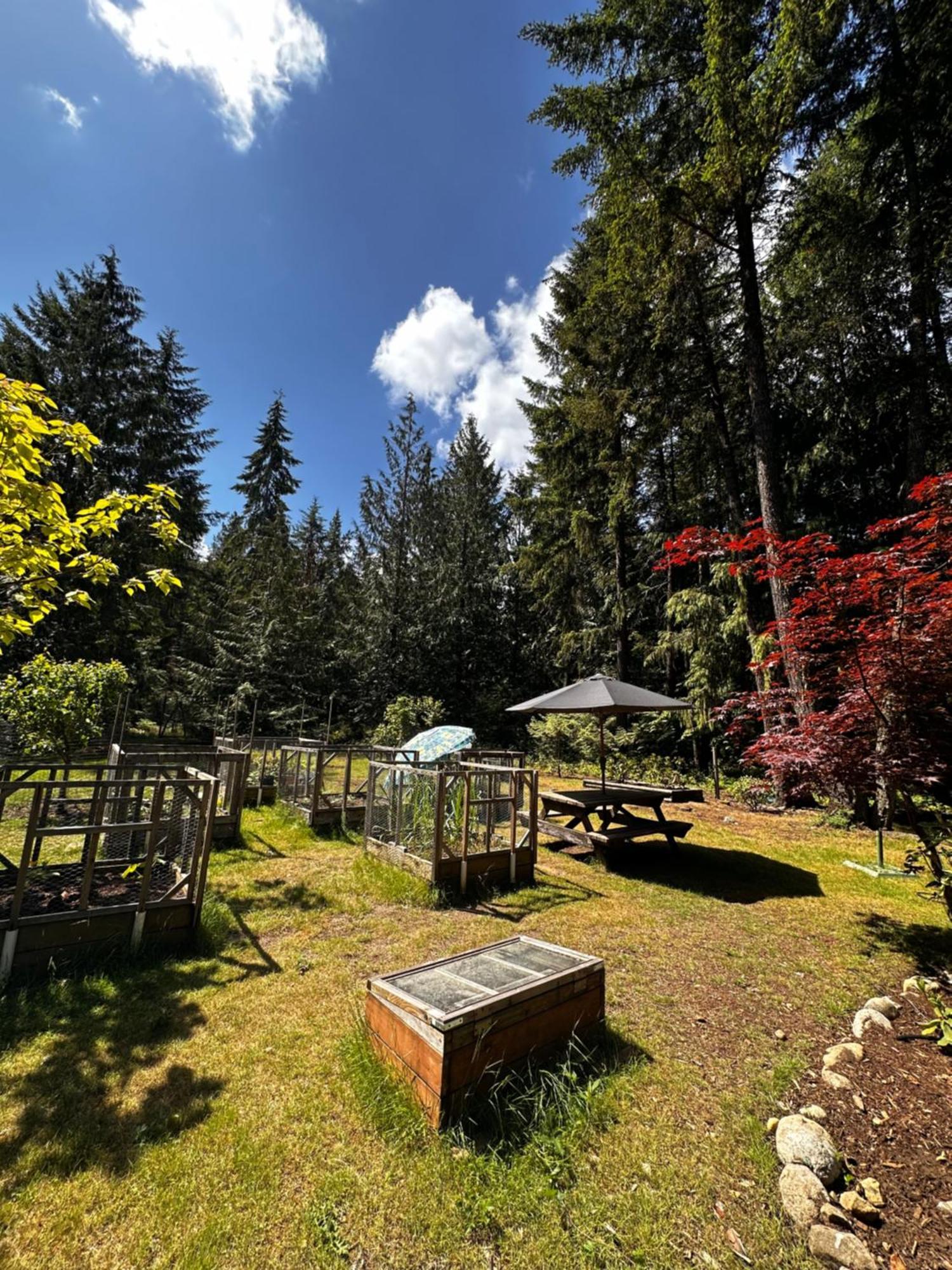 Cedar Song B&B Parksville Bagian luar foto