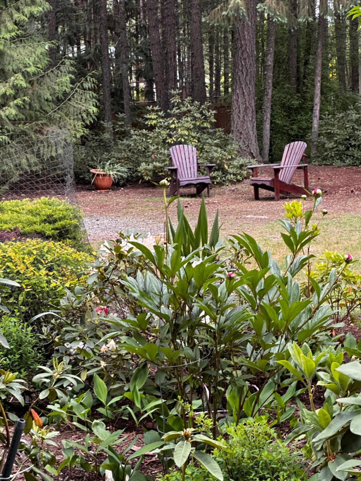 Cedar Song B&B Parksville Bagian luar foto