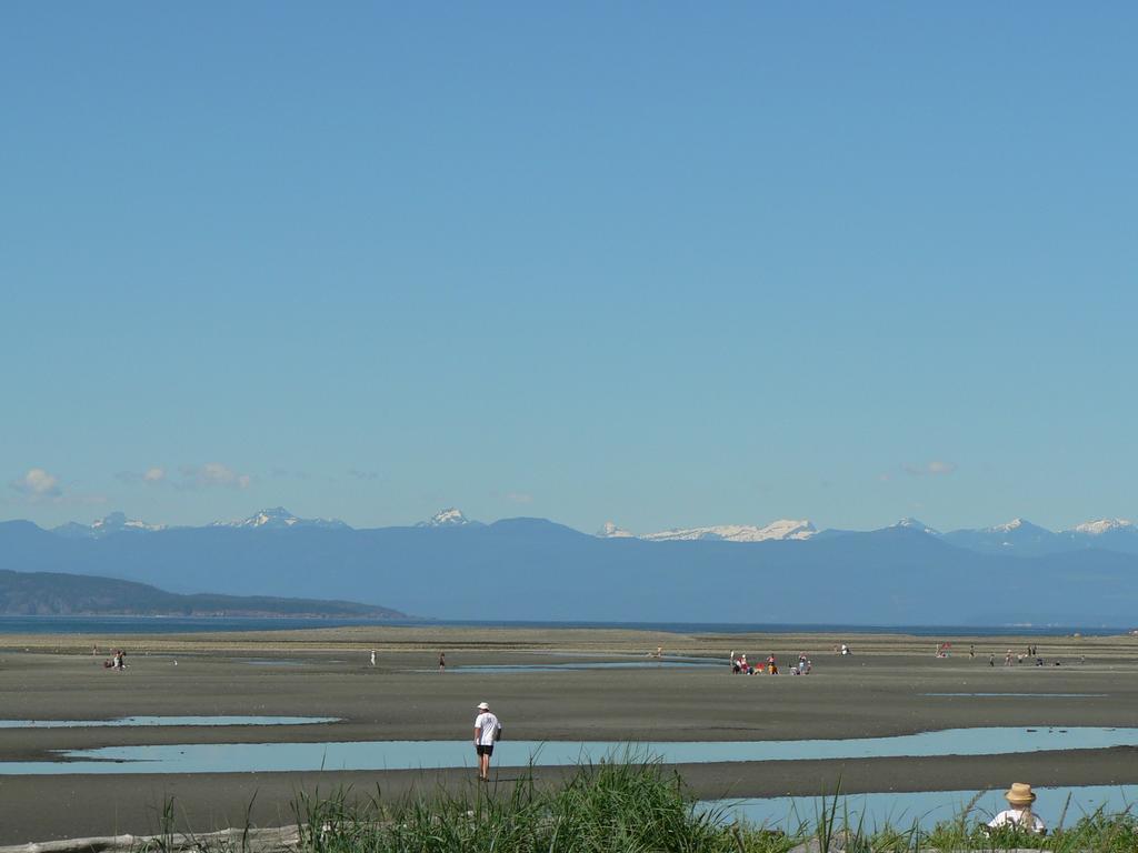 Cedar Song B&B Parksville Ruang foto