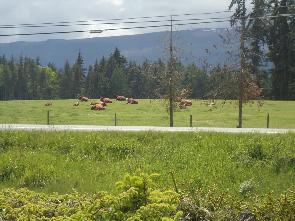 Cedar Song B&B Parksville Bagian luar foto