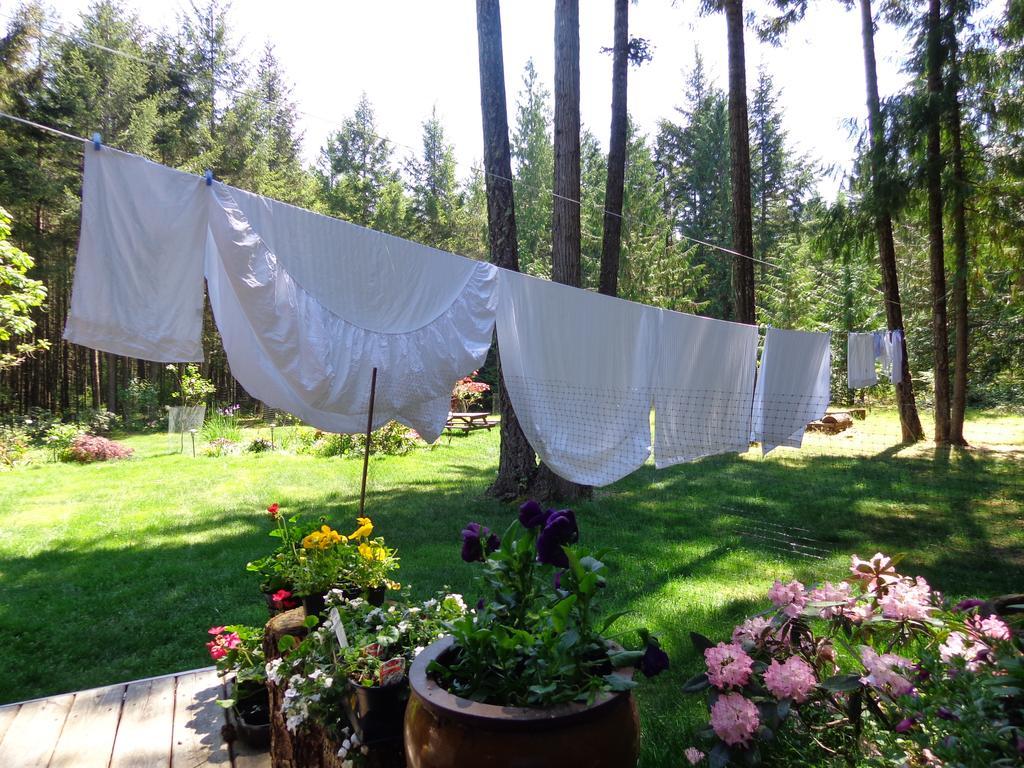 Cedar Song B&B Parksville Bagian luar foto