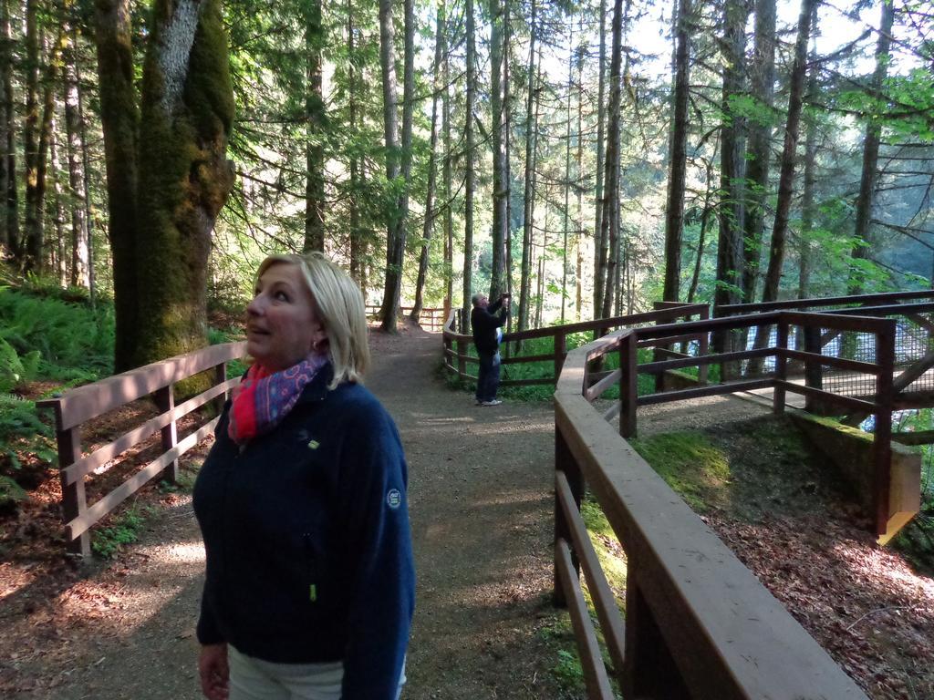 Cedar Song B&B Parksville Bagian luar foto