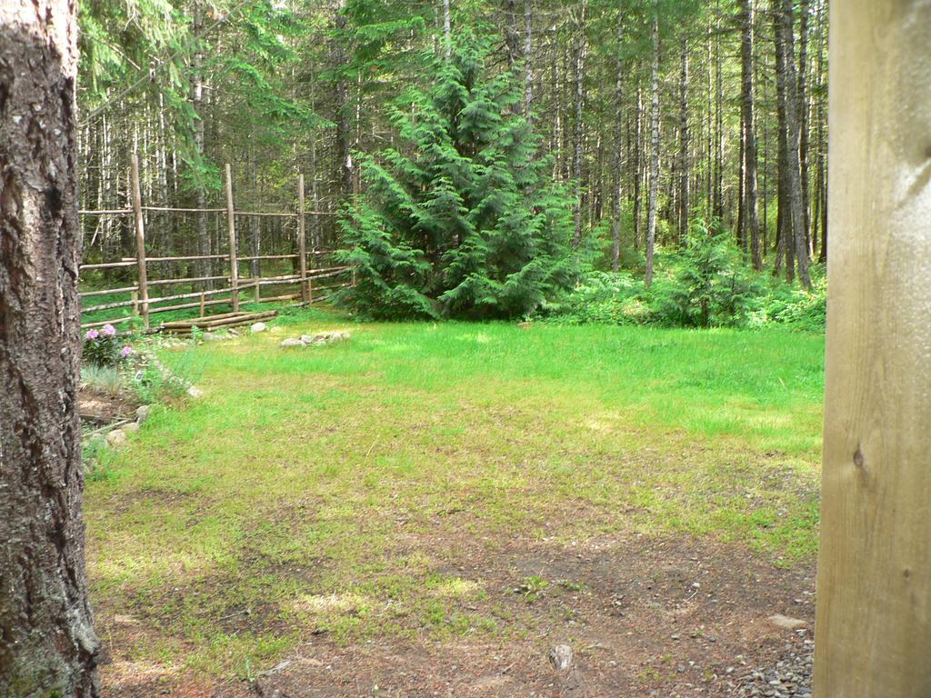 Cedar Song B&B Parksville Bagian luar foto