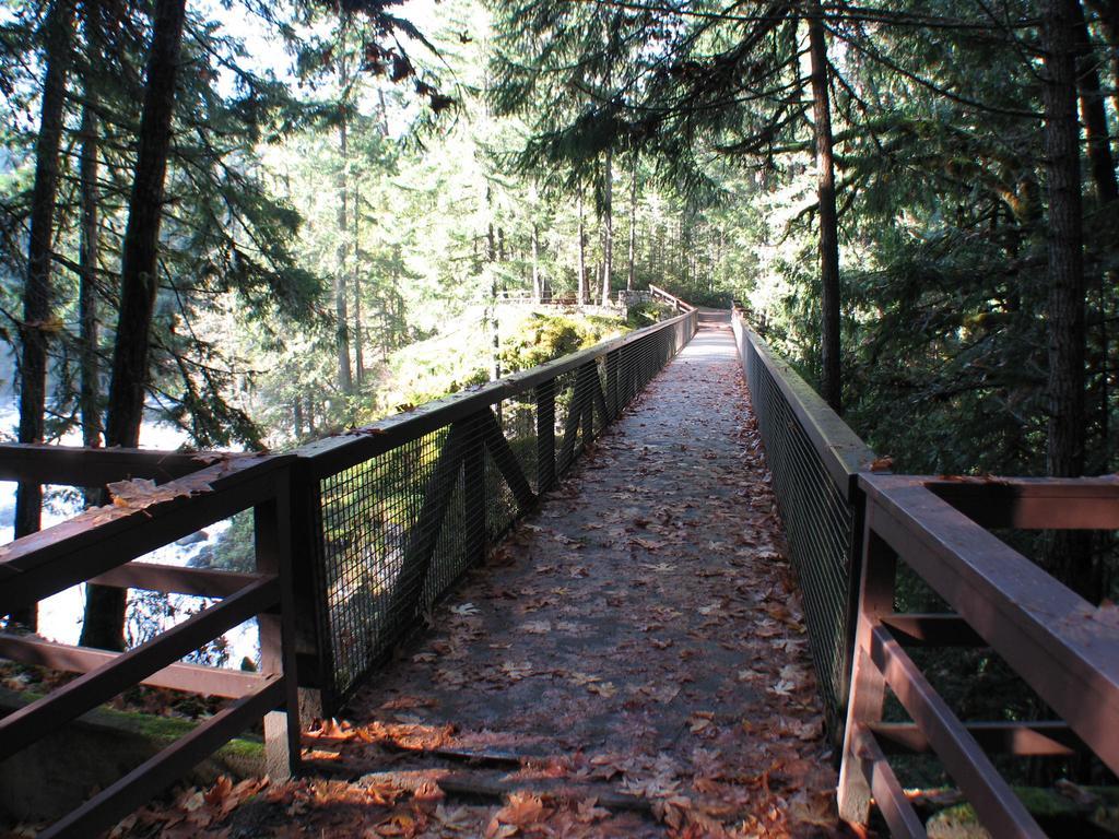 Cedar Song B&B Parksville Bagian luar foto